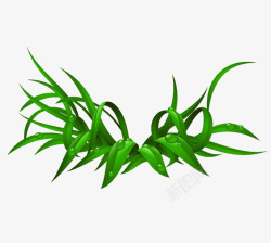 早晨的小草素材