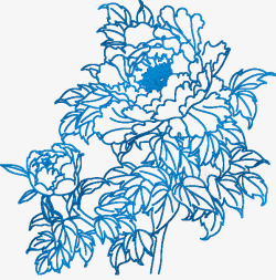 蓝色线条菊花图案素材