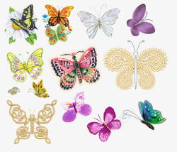 各种各样的漂亮蝴蝶大图素材