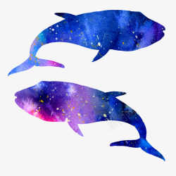 紫色鱼尾漂亮的鲸鱼高清图片