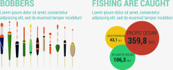 钓鱼信息图表分析数据矢量图素材