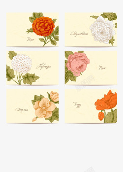 6款复古花卉卡片素材