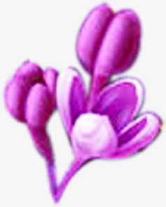 紫色模糊花朵装饰春天素材