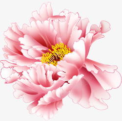 手绘粉色牡丹花朵开放素材
