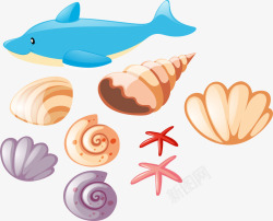 美丽贝壳可爱蓝色海豚矢量图高清图片