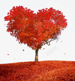 红色爱心树素材