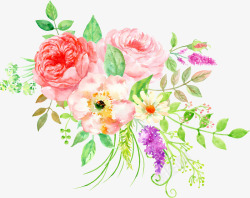 美丽花卉水彩牡丹花簇素材
