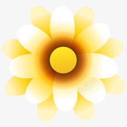 黄色上的太阳花素材