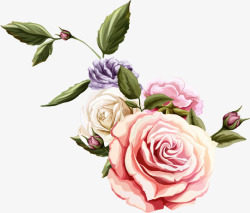 卡通手绘美丽的玫瑰花素材