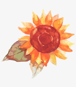 手绘水彩写意太阳花素材