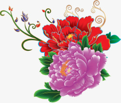 中秋节紫红色牡丹花素材