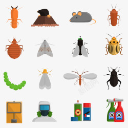 昆虫的概念害虫素材