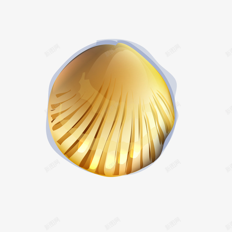 金色的贝壳png免抠素材_88icon https://88icon.com 回响 贝壳 金色 闪光