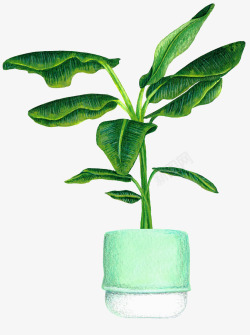 卡通手绘盆栽绿叶素材