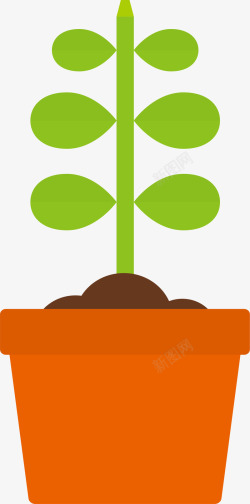 植物生长过程植物生长过程长树干高清图片