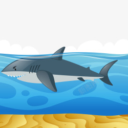 鲨鱼的背景矢量图素材