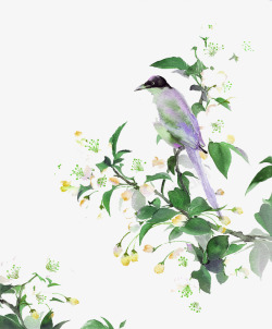 绿色清新花鸟装饰图案素材