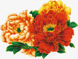 彩绘花朵牡丹花中国风素材