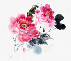 手绘中国风花卉素材