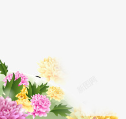 牡丹花卉装饰元素素材