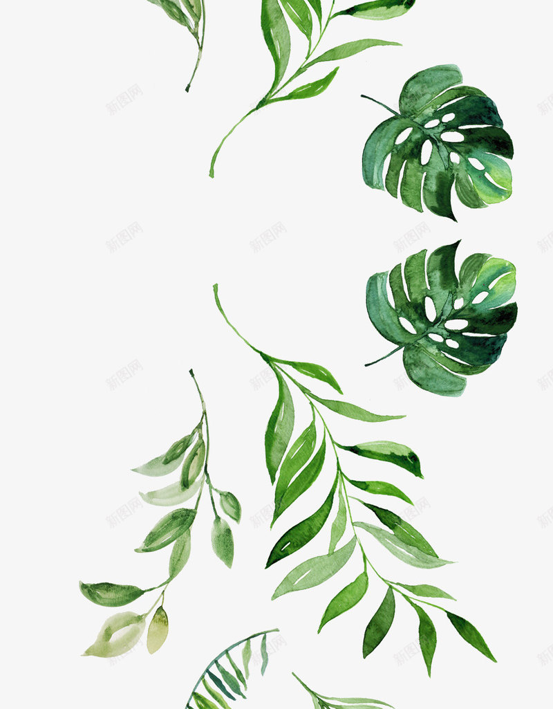 水彩卡通植物绿色png免抠素材_88icon https://88icon.com 创意 卡通 手绘 新意 植物 水彩 笔刷 设计