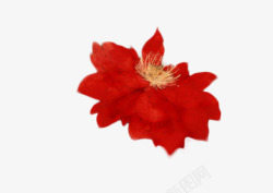 手绘花瓣红色牡丹花素材