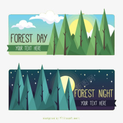 森林的日和夜素材