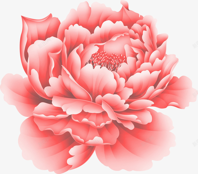 牡丹盛开粉色手绘中秋png免抠素材_88icon https://88icon.com 中秋 牡丹 盛开 粉色