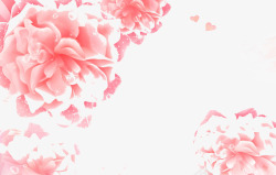 粉色牡丹花背景素材