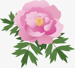 粉色牡丹花朵手绘素材