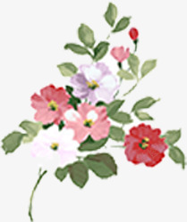 七夕牡丹手绘植物花朵素材