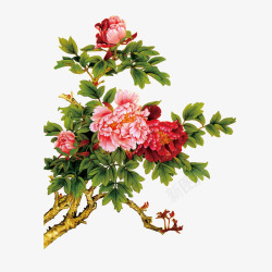 牡丹花中国风花朵素材