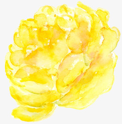 黄色牡丹花手绘素材