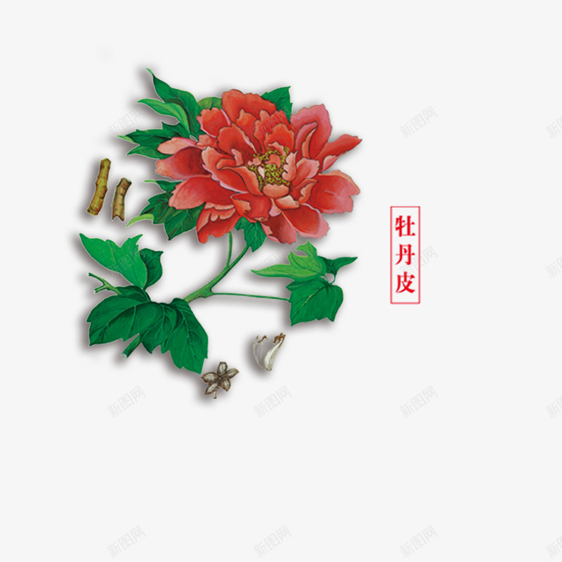 牡丹皮psd免抠素材_88icon https://88icon.com 中药 牡丹皮 药材