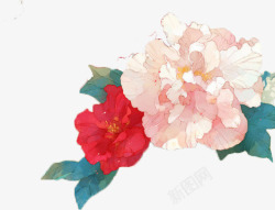 牡丹花花朵彩绘装饰素材