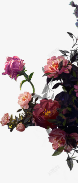 艳丽的彩色手绘牡丹花丛背景素材
