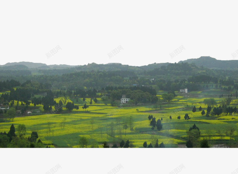 美丽的四川盆地png免抠素材_88icon https://88icon.com 四川盆地 山峰 山脉 树林 植物 盆地 绿色 绿色盆地 草地 风景