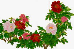 手绘花卉十字绣牡丹图素材