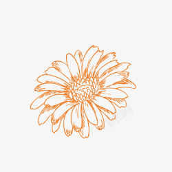 线型花纹橙色太阳花高清图片