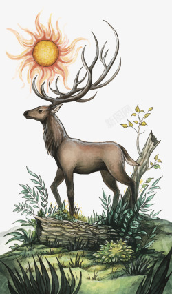 鹿和太阳素材