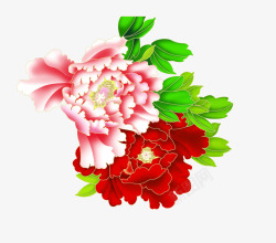 中国风牡丹花素材