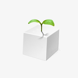 方块盒子长着植物素材