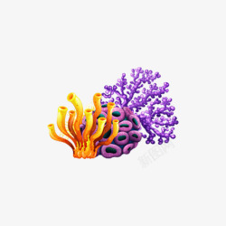 海底世界美丽的珊瑚素材