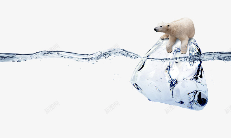 水上趴在冰块上的北极熊png免抠素材_88icon https://88icon.com 冰块 动物 北极熊 水 水上世界