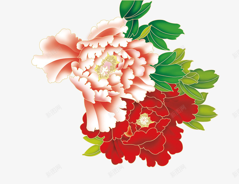 牡丹花png免抠素材_88icon https://88icon.com 两朵花 牡丹 粉牡丹 红牡丹 花叶