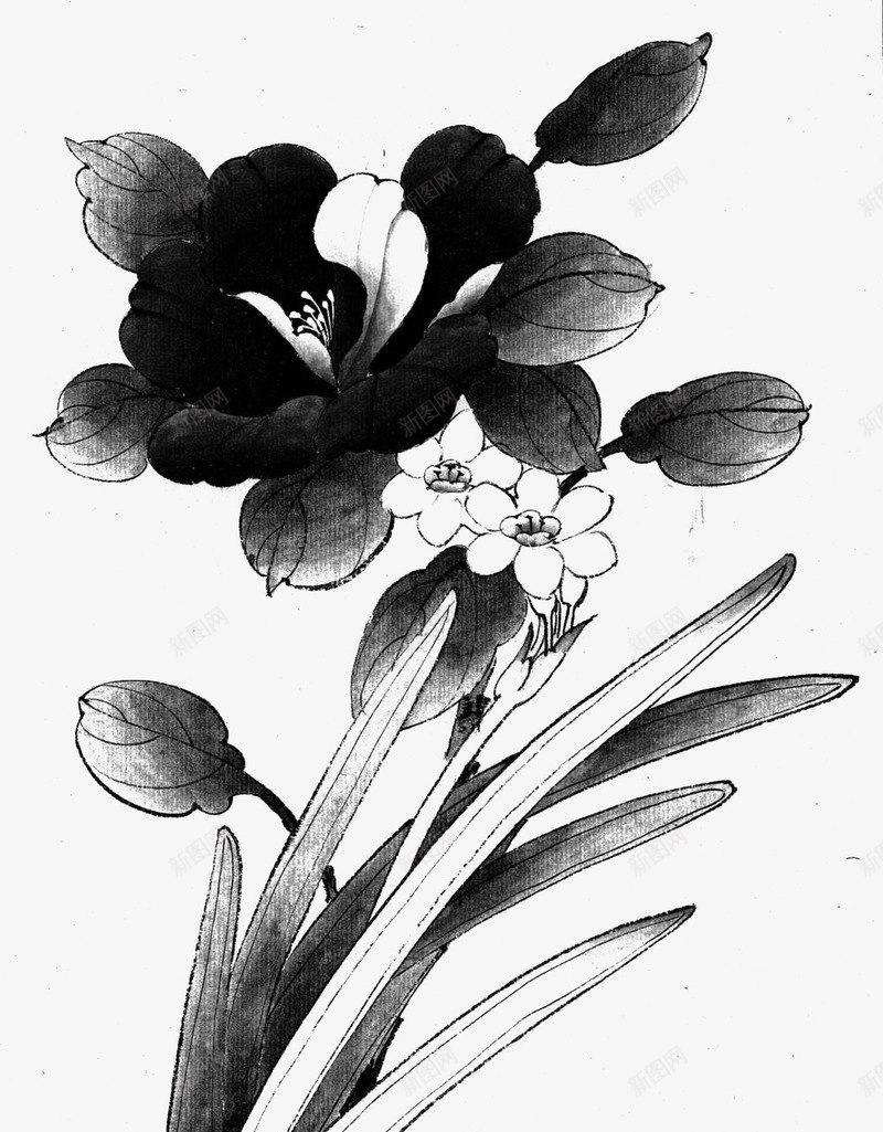 牡丹花古风插画png免抠素材_88icon https://88icon.com 古风 插画设计 牡丹花