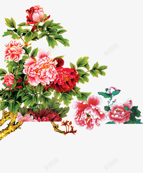 花开富贵牡丹绿叶png免抠素材_88icon https://88icon.com 富贵 牡丹 绿叶