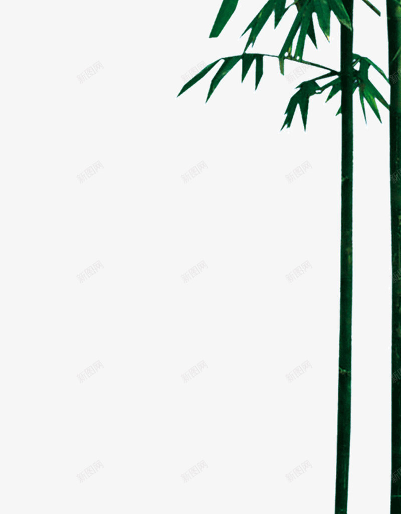 太阳下的竹子png免抠素材_88icon https://88icon.com 太阳 竹叶 竹子 翠绿 阳光