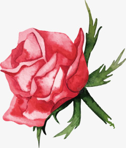 手绘红色玫瑰漂亮素材