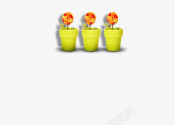 3个黄色花盆的花朵盆栽太阳素材